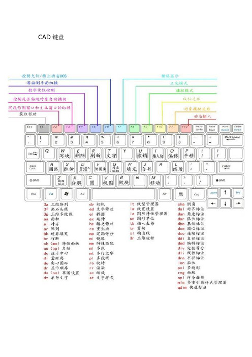 CAD及天正快捷键命令大全,有一张彩色CAD键盘图分析