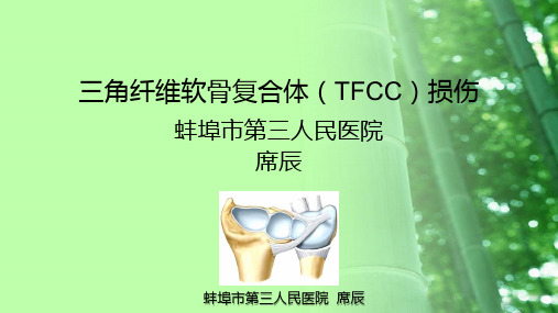 关节镜下治疗三角纤维软骨复合体损伤参考课件