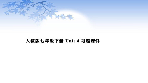 人教版七年级下册英语Unit4习题课件有答案(共22张PPT)