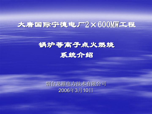 锅炉等离子点火燃烧系统介绍