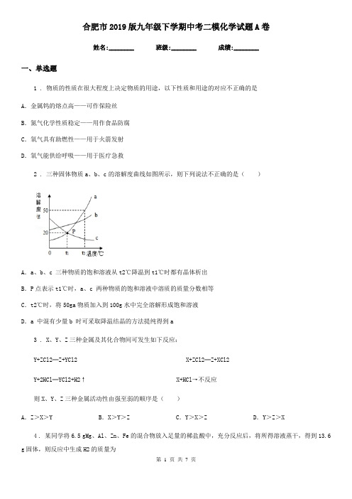 合肥市2019版九年级下学期中考二模化学试题A卷