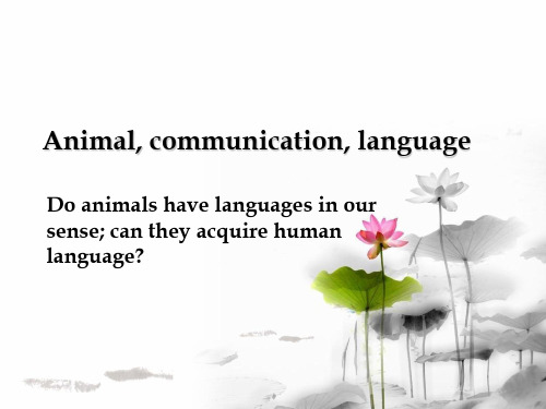 Chapter 02 Animals and human language