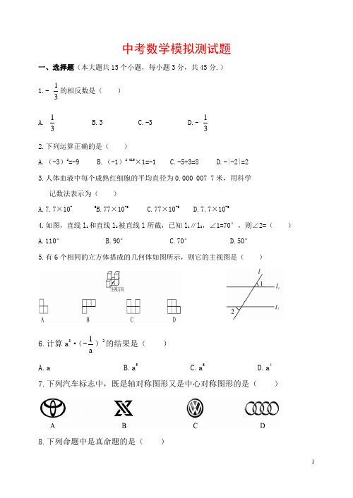 北师大版九年级中考数学模拟试题含答案