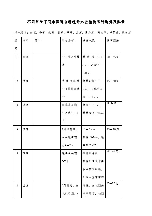 不同季节不同水深适合种植的水生植物选择