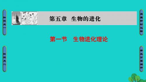 高中生物 第5章 生物的进化 第1节 生物进化理论课件 苏教版必修2