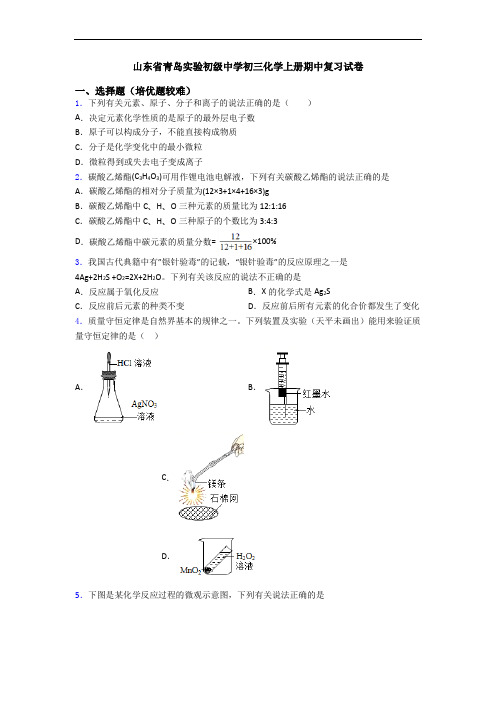 山东省青岛实验初级中学初三初三化学上册期中复习试卷