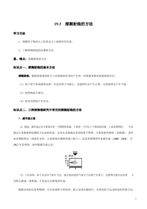 19.3 探测射线的方法(解析版)