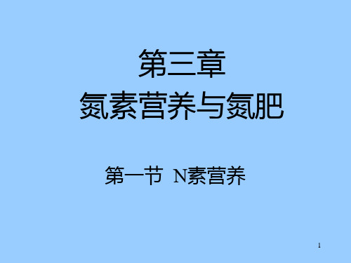 氮素营养与氮肥PPT课件