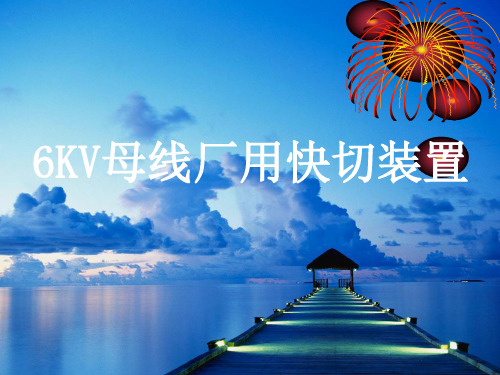 6KV母线厂用快切装置-