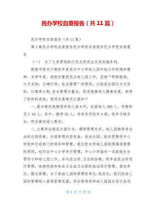 民办学校自查报告(共11篇)