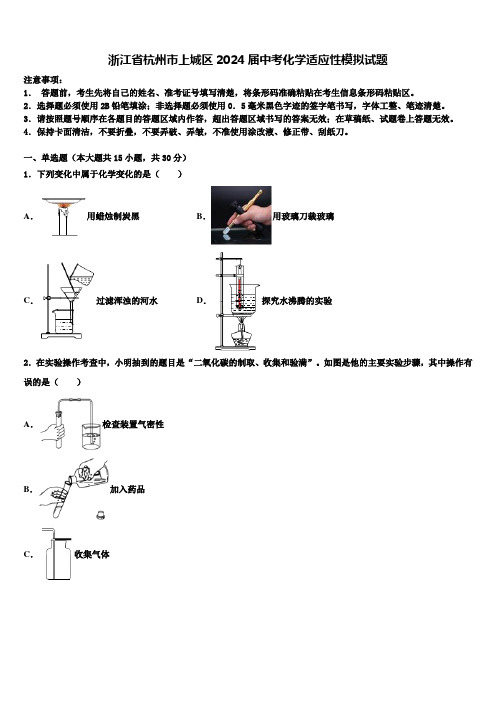 浙江省杭州市上城区2024届中考化学适应性模拟试题含解析