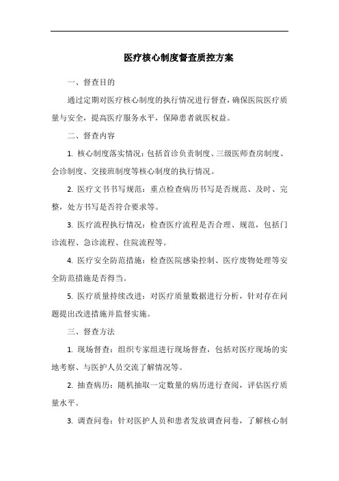 医疗核心制度督查质控方案