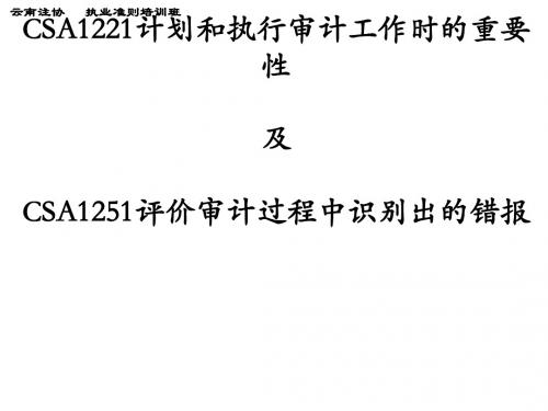 计划和执行审计工作时的重要性(ppt44张)