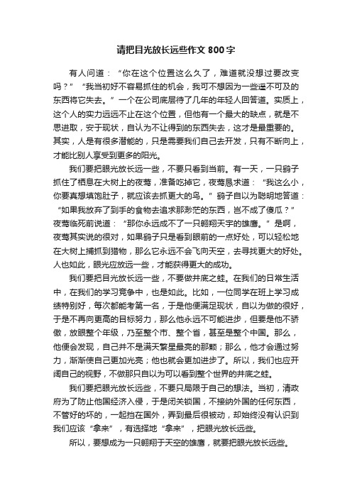 请把目光放长远些作文800字