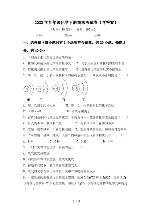 2023年九年级化学下册期末考试卷【含答案】