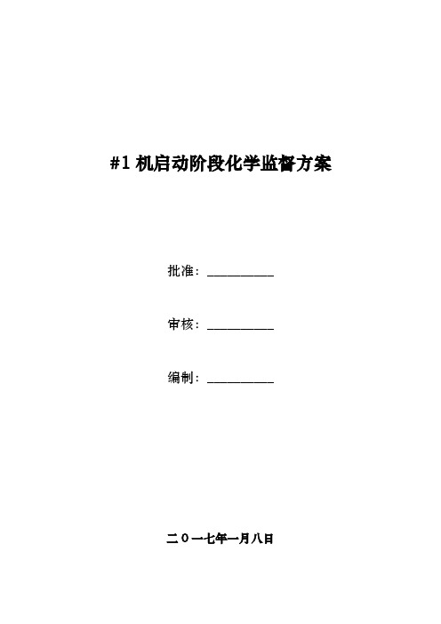 机组整组启动阶段化学监督方案