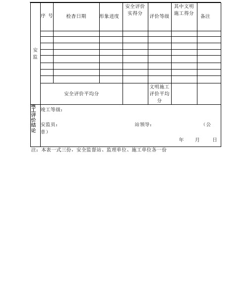 十项安全安全检查评分表