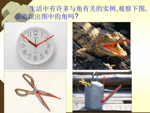 浙教版七年级数学上册65 角与角的度量 课件共24张