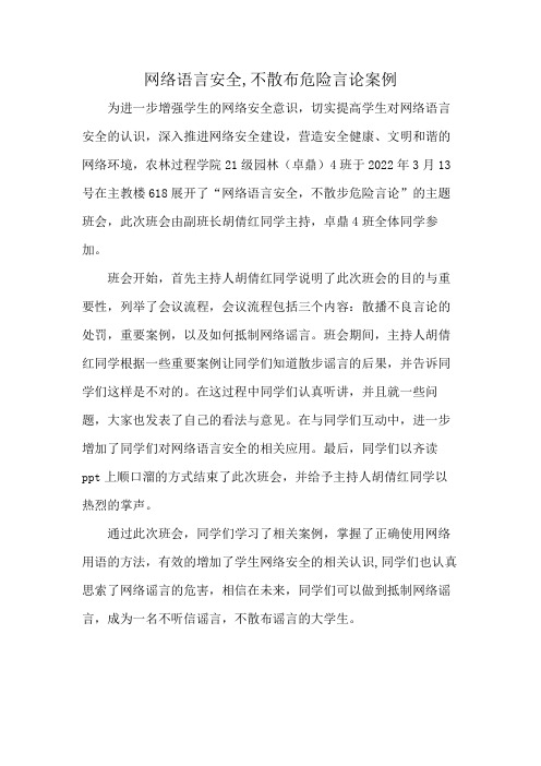 网络语言安全,不散布危险言论案例