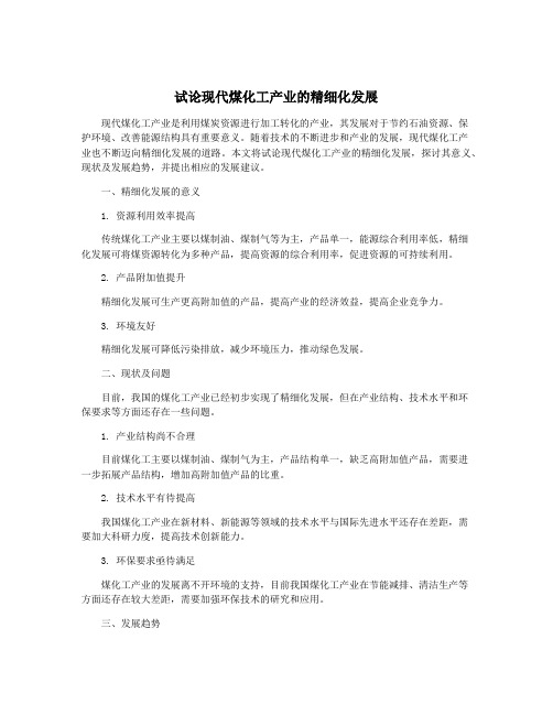 试论现代煤化工产业的精细化发展