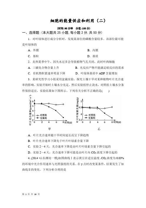 细胞的能量供应和利用试卷(二)