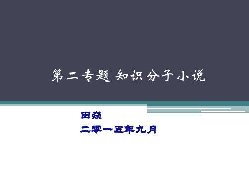 第二专题 知识分子小说