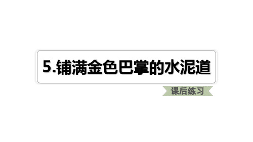 人教部编版语文《铺满金色巴掌的水泥道》PPT优质课件1