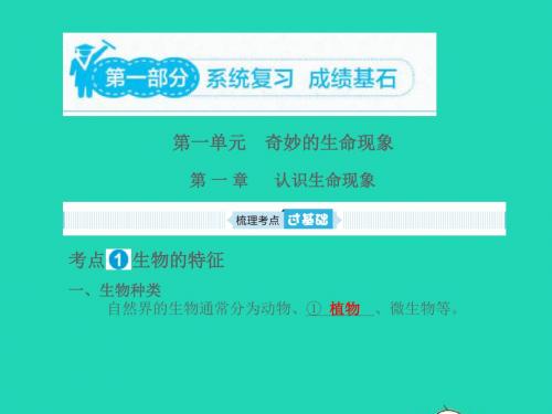 (滨州专版)山东省2019年中考生物总复习第一单元奇妙的生命现象第一章认识生命现象课件