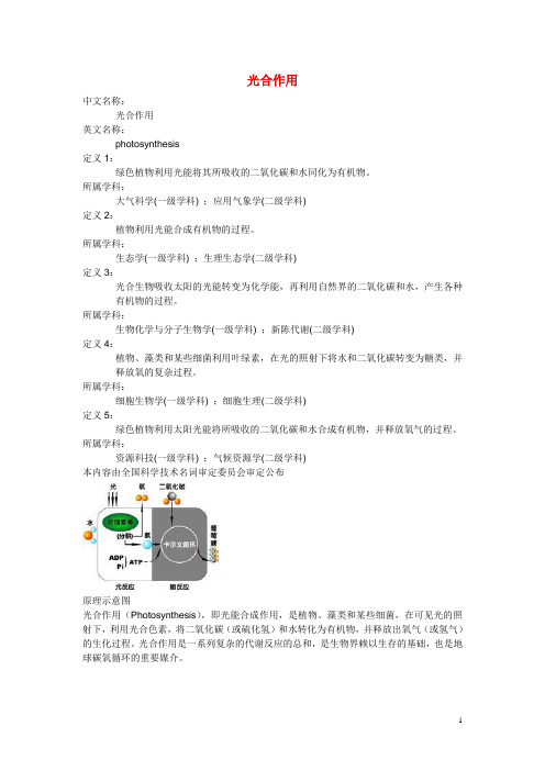 高中生物《光合作用》文字素材2 浙教版必修1