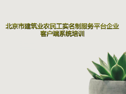 北京市建筑业农民工实名制服务平台企业客户端系统培训PPT文档39页