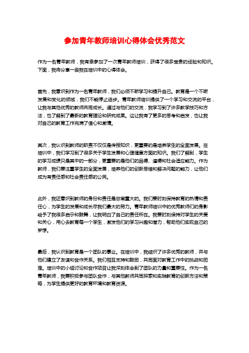 参加青年教师培训心得体会优秀范文