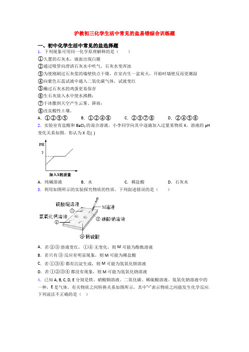 沪教初三化学生活中常见的盐易错综合训练题