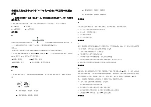 安徽省芜湖市第十三中学2022年高一生物下学期期末试题含解析