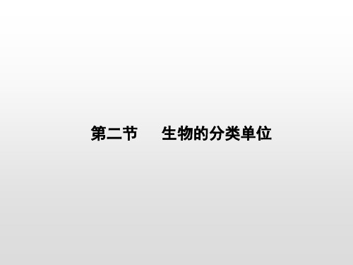 济南版七年级生物上册课件：第二单元 第四章第二节 生物的分类单位(共14张PPT)