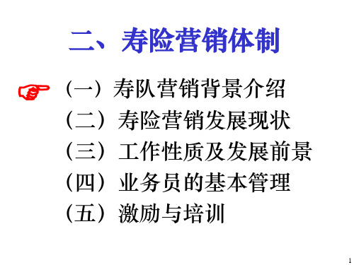 寿险营销体制2课件