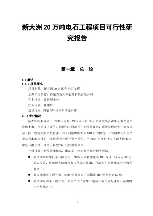 新大洲20万吨电石工程项目可行性研究报告