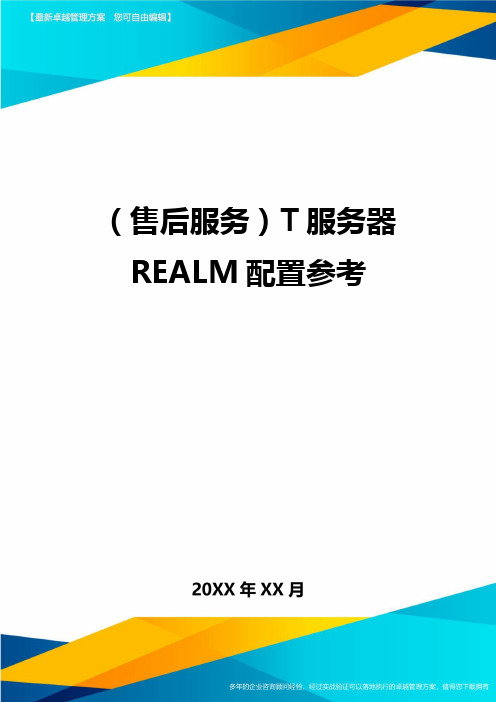 (售后服务)T服务器REALM配置参考