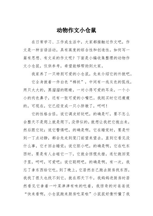 动物作文小仓鼠