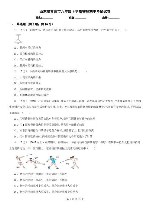 山东省青岛市八年级下学期物理期中考试试卷