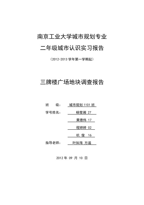 三牌楼广场调研报告111111