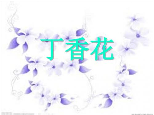 丁香花课件