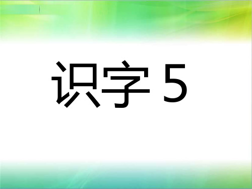 苏教版二年级语文上册《识字5》赛课课件