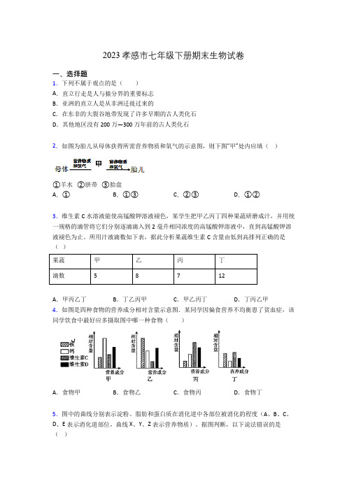 2023孝感市七年级下册期末生物试卷