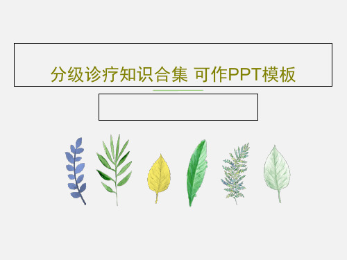 分级诊疗知识合集 可作PPT模板126页PPT