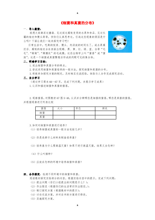 八年级生物上册 第四章 第一节 细菌和真菌的分布导学案 (新版)新人教版