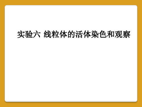 实验六 线粒体的活体染色和观察