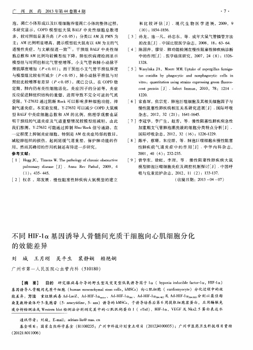 不同HIF-1α基因诱导人骨髓间充质干细胞向心肌细胞分化的效能差异