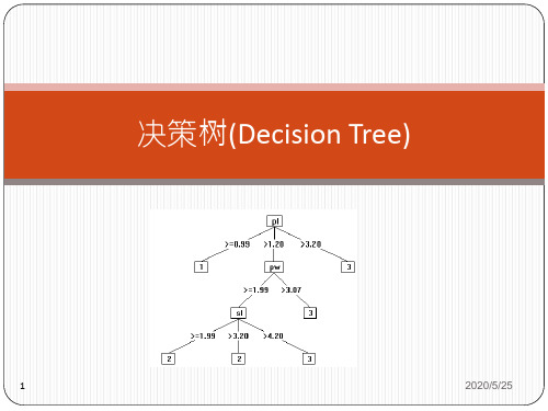 商务智能理论与应用5-决策树概要
