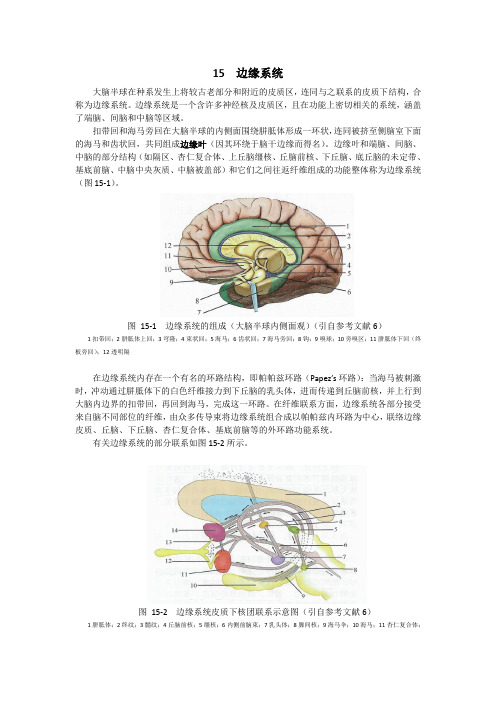 15  边缘系统