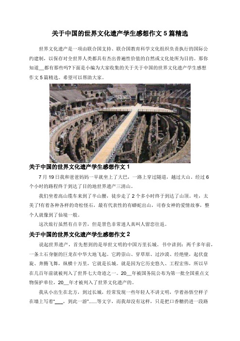 关于中国的世界文化遗产学生感想作文5篇精选